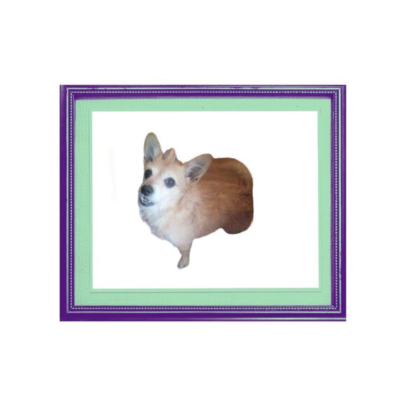 Meet your Posher, Katie - Picture 2 of 8